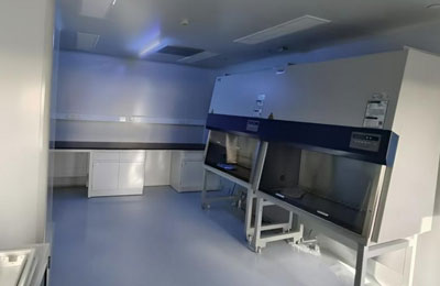 ��ο��Ɲ�������Ⱦ���}��